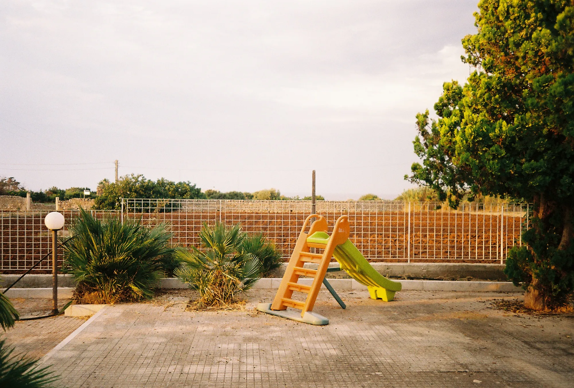 Taken by Trisha (but I thought of the same composition, seriously)