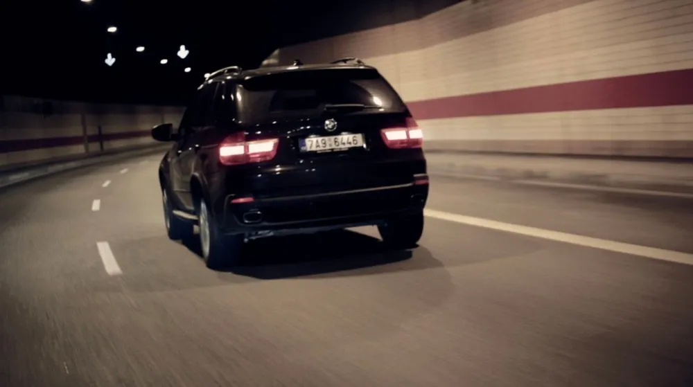 The Shark and the Bee